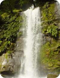 Cataratas del Breo - Juanjui Peru